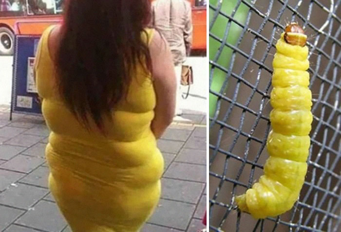 10. 穿著黃色洋裝的女人 vs. 毛毛蟲 (太過分了啦！)