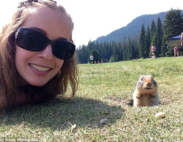 To ensure she captured the perfect picture, Ms Wallace from Vancouver lay out on the ground metres away from the squirrel and slowly crawled towards him