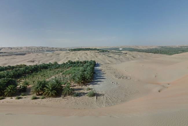 阿联酋利瓦沙漠，阿拉伯联合大公国 (Abu Dhabi, United Arab Emirates)