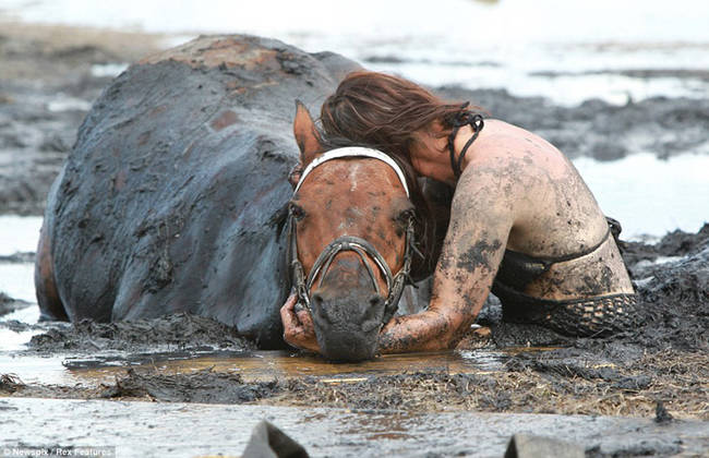 妮可在爛泥中緊緊抱住不斷掙扎的馬兒。