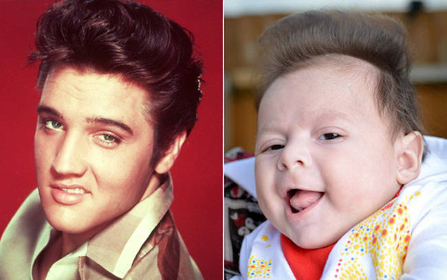 3.) 貓王 (Elvis Presley) vs. 寶寶