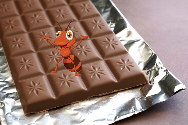 Regulators allow for certain amounts of something called " insect filth " in the food that we eat. But don't worry, the FDA will step in just as soon as it finds more than 90 insect fragments in a 100 gram sample of chocolate.