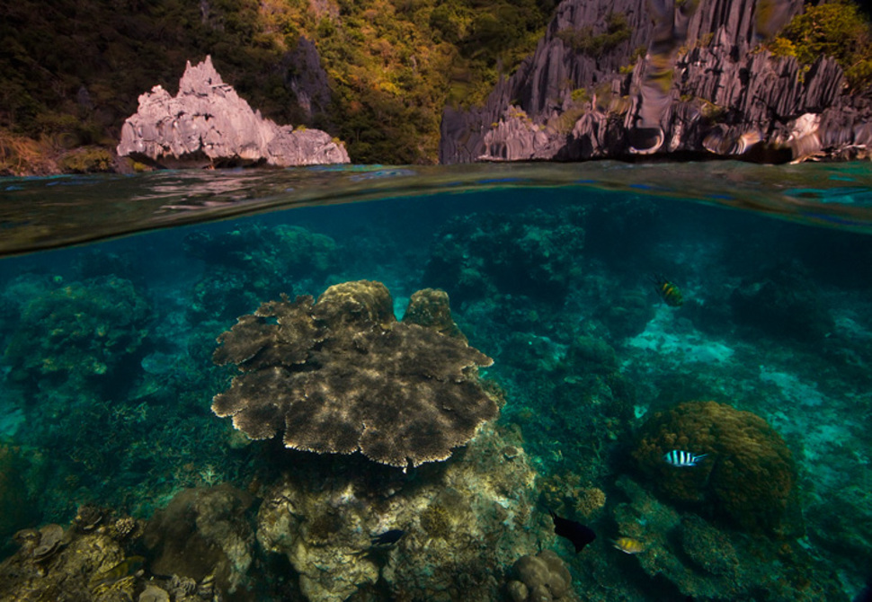 菲律賓 巴拉望島 Palawan Island, Philippines