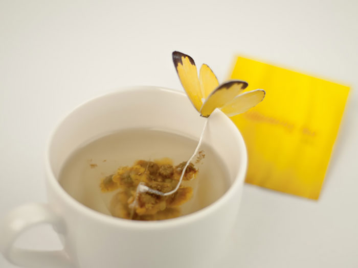 #4 蝴蝶茶。