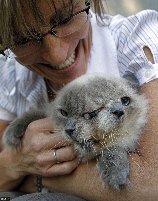 在1999年Frankenlouie刚出生的时候，饲养员料想这只猫也活不下来，所以交给了兽医护士Marty Stevens，请她把猫咪安乐死。