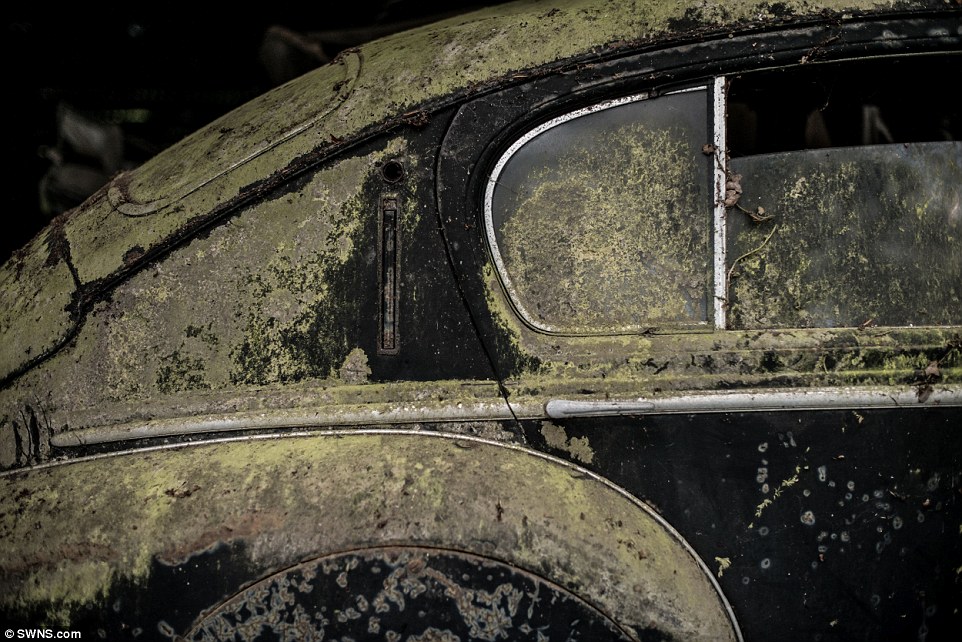 While many of the vehicles are rusty and covered in moss, they could still be worth £500,000 each on average