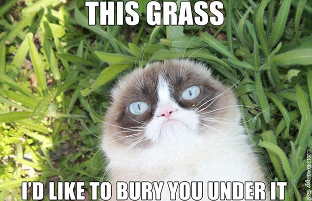 網路上也有一大堆以她為主題的圖片，像是這張：「這草，我想要把你埋在底下。」