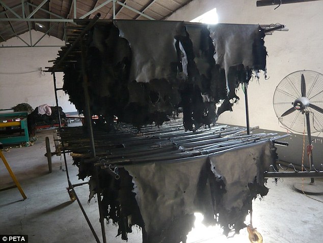 Dog hides drying in a room in the Hebei factory. PETA and other rights groups say dogs are slaughtered throughout the country, with regulations on animal slaughter poorly enforced