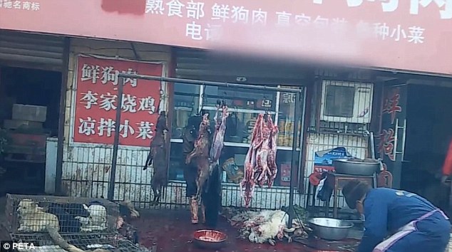 The carcasses of dogs hang in the slaughteryard, the ground thick with their blood. PETA Asia's investigator saw workers peel the skin off dogs who were still alive