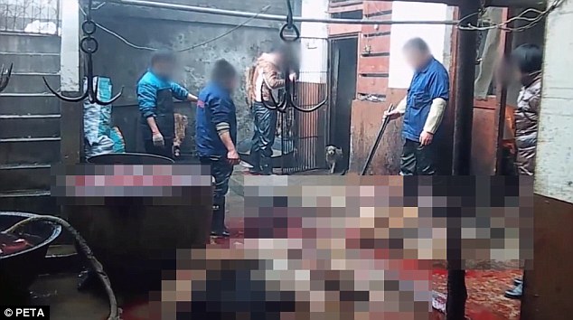 A dog is led out into the slaughteryard in the Chinese factory. A man with a stick stands ready to kill it. Other animals lie dead on the ground. Sometimes it takes several blows to finish off the unwitting animals
