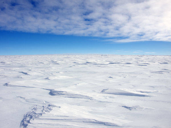 南极(The South Pole)