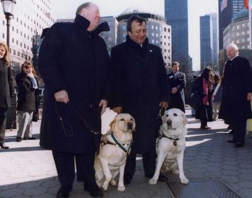 When Roselle and Salty led their blind humans down 70 floors in the World Trade Center before the towers fell on September 11th.