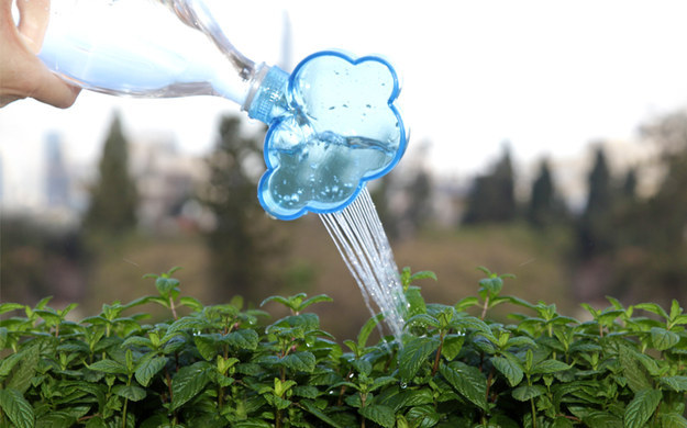29. Rainmaker — 雲形植物灑水器