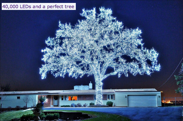 8. 40,000颗LED灯的闪亮树木。