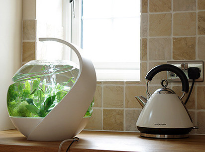 Avo — 可自動清潔熱帶魚缸