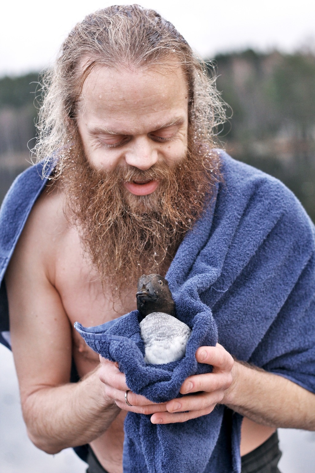 他用浴巾把鴨子包起來，希望可以給他凍壞了的小身子一些溫暖。