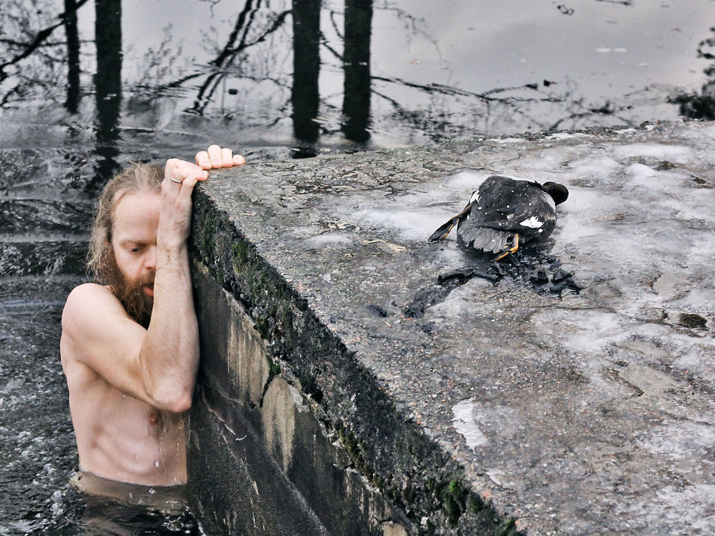 跳進冰水裡頭，危及自己的性命也要救這隻無助的鴨子。