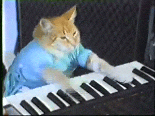 5.) Keyboard Cat