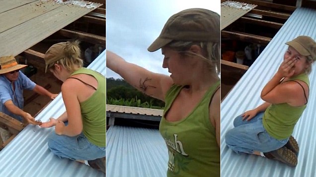 昆士兰的这位勇敢观光客让蜘蛛爬上她的身体：