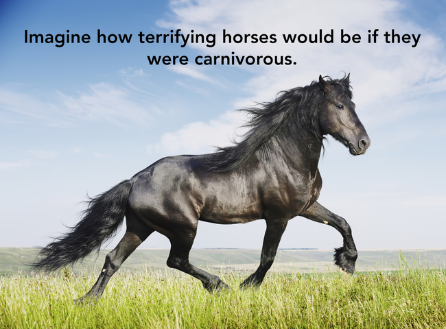 "想像一下如果馬是肉食性動物會有多可怕..."