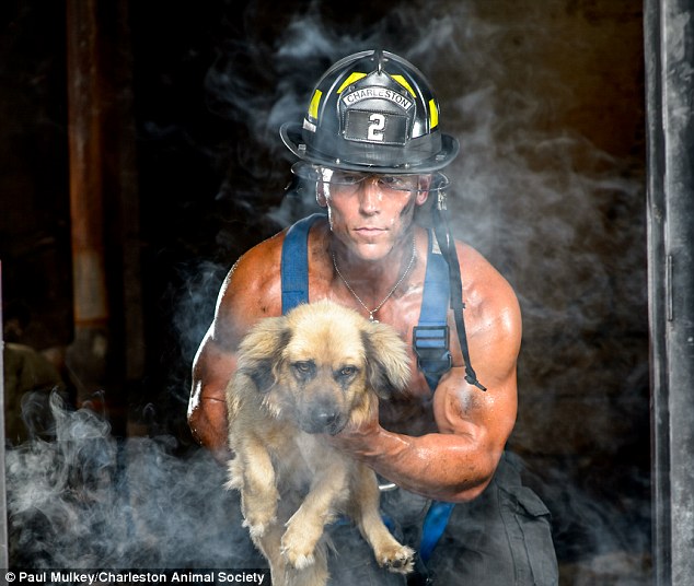 Arm candy: One firefighter brandishes a slightly bemused-looking puppy