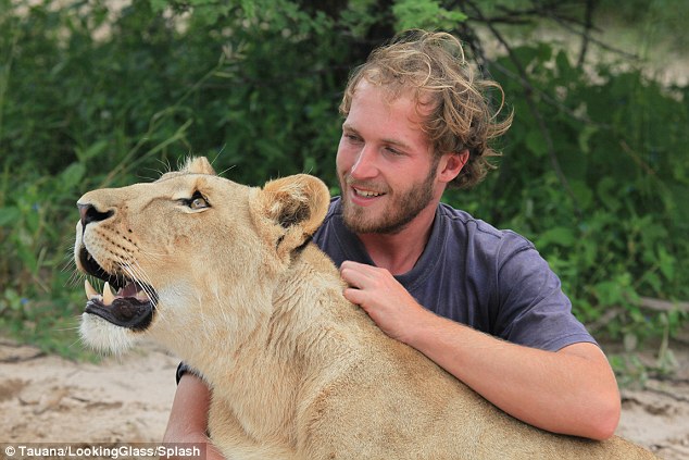 現在，他和他的夥伴一同創辦了野生動物的保育計畫「Modisa Wildlife Project.」，而這部動人的紀錄片《獅子心》(Lionheart)，也將會在2015年上映。
