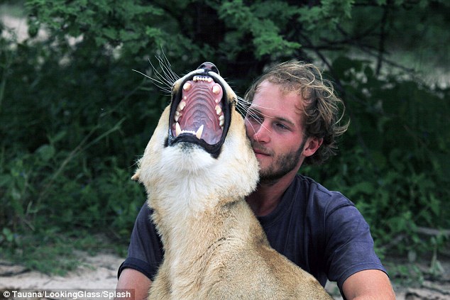 Best buds: Conservationist Valentin Gruener, 27, raised Sirga after she was abandoned by her price