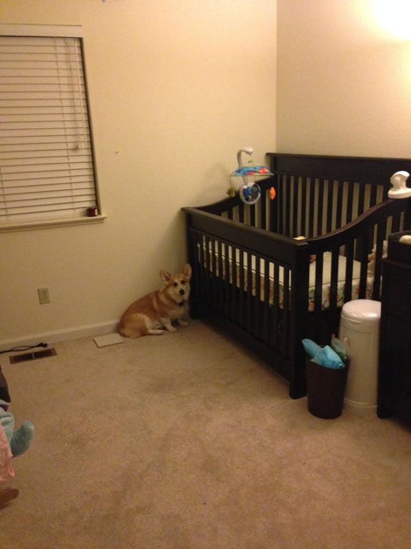He even started sleeping beside her crib, making sure she's protected. 