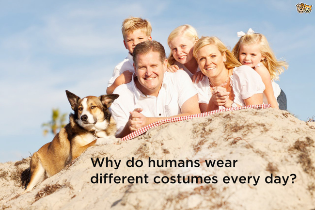 為什麼人類每天都會換不同的衣服