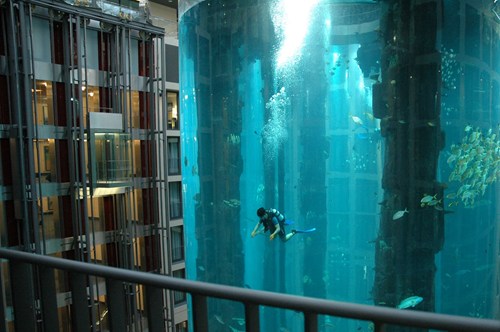 杜拜的飯店內居然能潛水！？