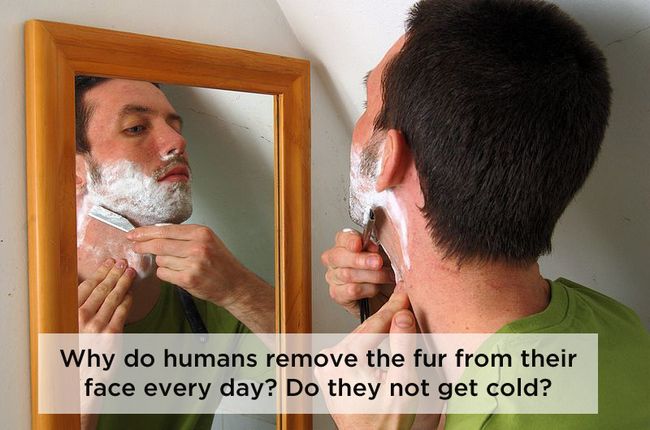 11. 為什麼人類每天都要刮除身上的毛啊？他們不會冷嗎？