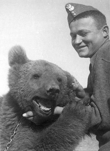 Wojtek Bear - Playing