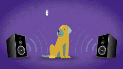 What Your Dog Is Thinking When You Talk With A Funny Voice