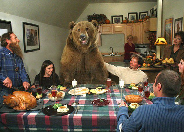 这只熊名叫Brutus，是真的被这户人家养在家里面...