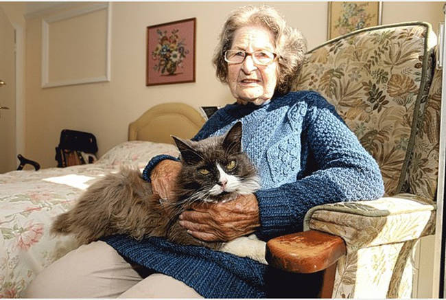 39.) This loyal cat who wouldn't leave her owner's side, even when the owner <a href="http://www.viralnova.com/cat-owner-reunite/" target="_blank">left her with friends to move in to a nursing home</a>.