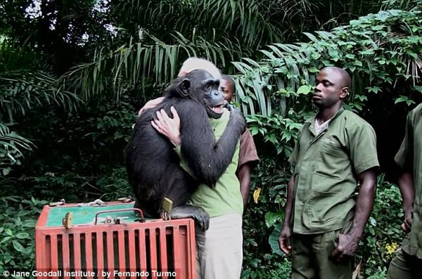 2.) This moment between Jane Goodall and <a href="http://www.viralnova.com/wounda-the-chimp-rescue/" target="_blank">a very special old friend</a>.