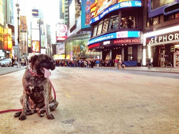 Lauren and Gizelle at Time Square.