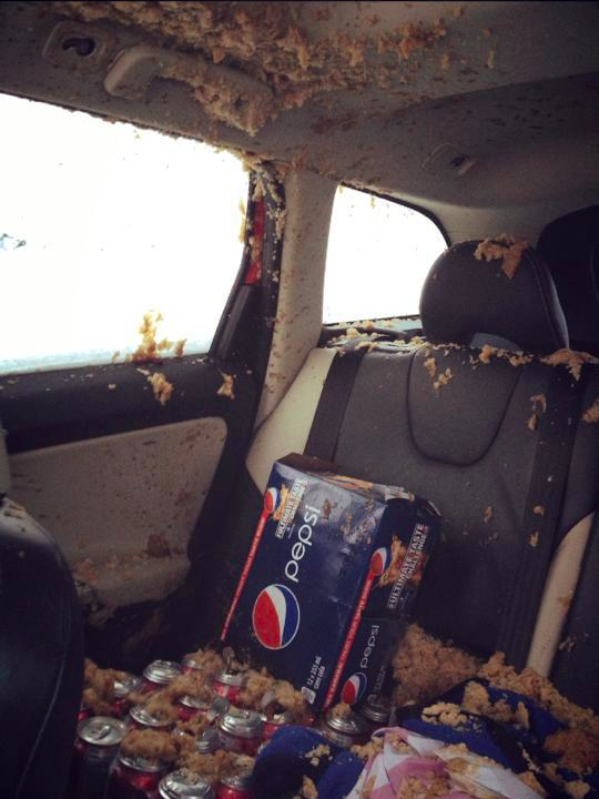When Pepsi got left in a freezing car and launched an all-out assault on upholstery.