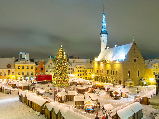爱沙尼亚 (Estonia) 的塔林 (Tallinn) 