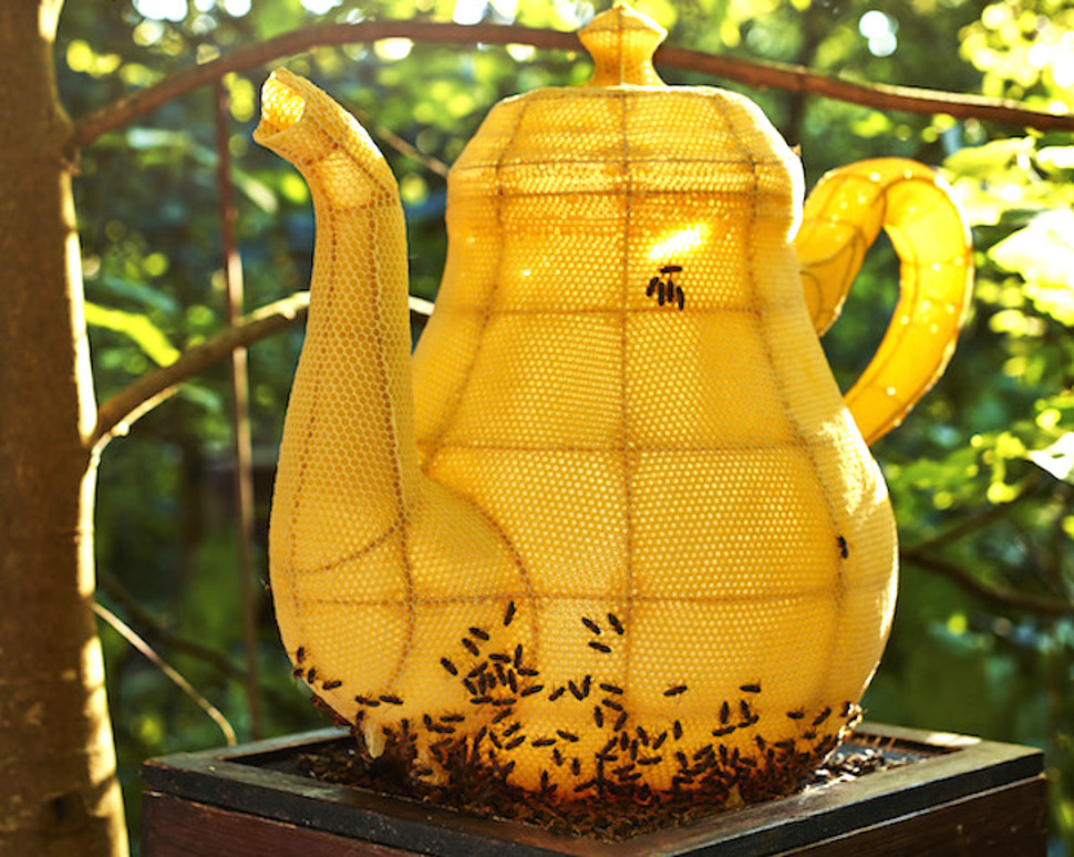 你相信吗？这个巨大的茶壶居然是由60000只蜜蜂合力建造而成的！