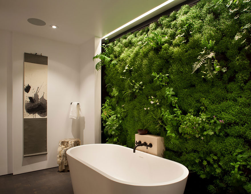 浴室里的苔藓墙。
