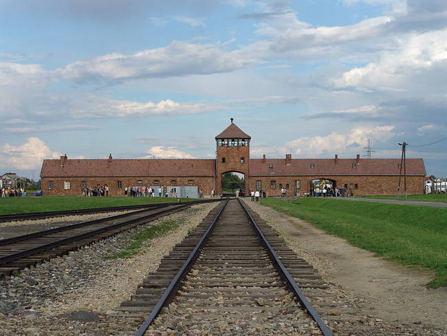 纳粹党在奥斯威辛集中营（ Auschwitz-Birkeanau ）杀害了将近100多万人。