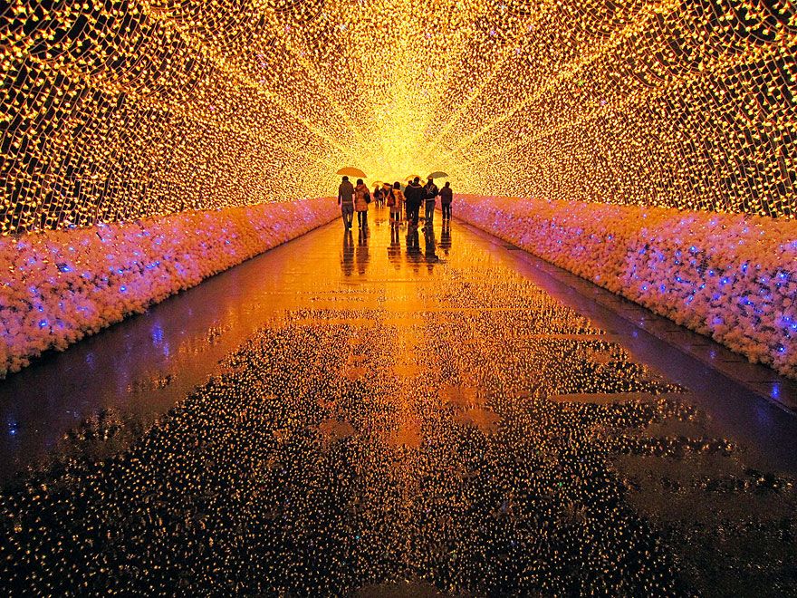 日本的冬季燈彩節 (Winter Light Festival)