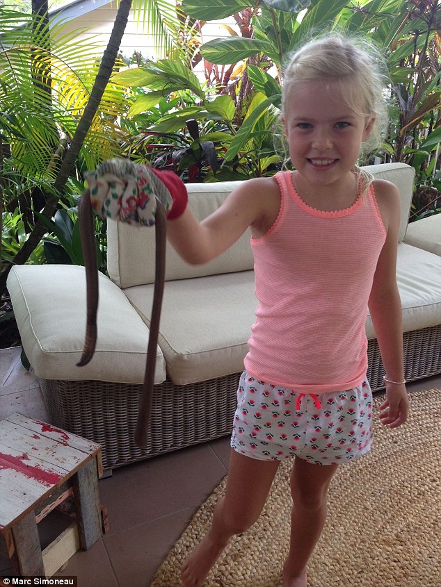 在澳洲亞昆士蘭州的太陽海岸 (Sunshine Coast)，Simoneau 這一家人在他們家找到了2隻超大的...蛇？不對，是蚯蚓！