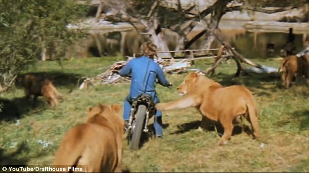 Marshall is featured riding on a motorbike at the start of the trailer as one of the lions strikes out at him