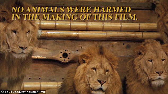Seventy members of cast and crew were injured during the course of the film, but the lions were unharmed