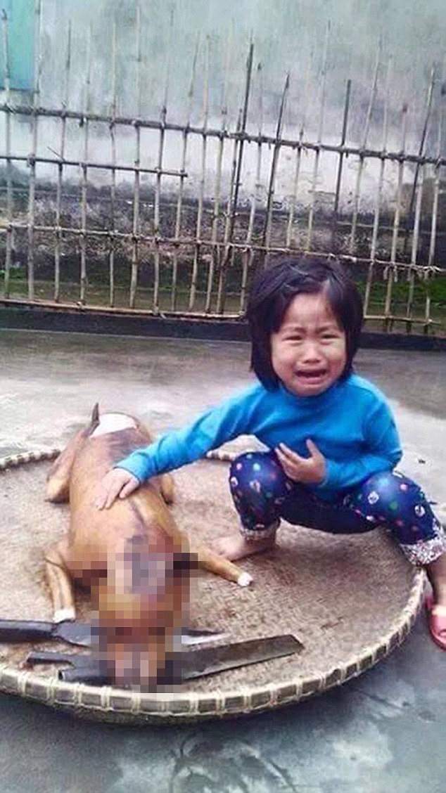 據說，這位不知名的女孩住在越南北部的鄉間，她養了這隻叫做「小花」(Flower) 的狗狗已經有3年了，所以狗狗離奇失蹤也讓她難過不已。她曾經試圖要把小花找回來，但一直徒勞無功。