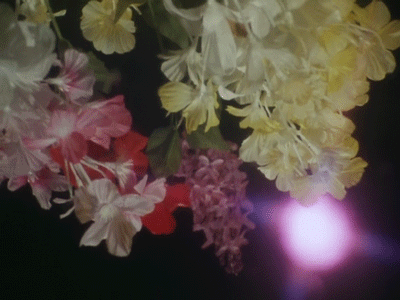 flower animated GIF 