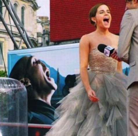 25 Of The Best and Most Amusing Celebrity Photobombs  8