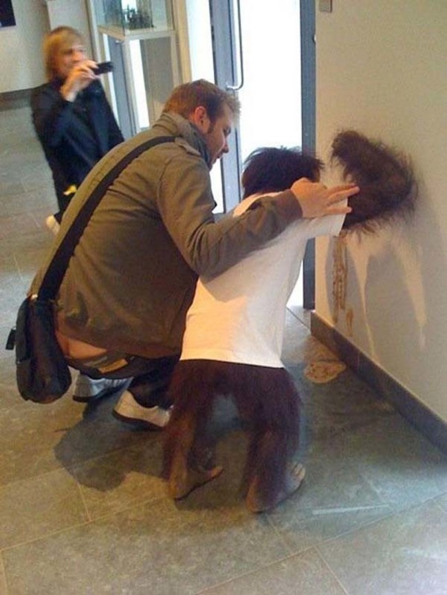 這個人正在照顧一隻嘔吐的猩猩...？
